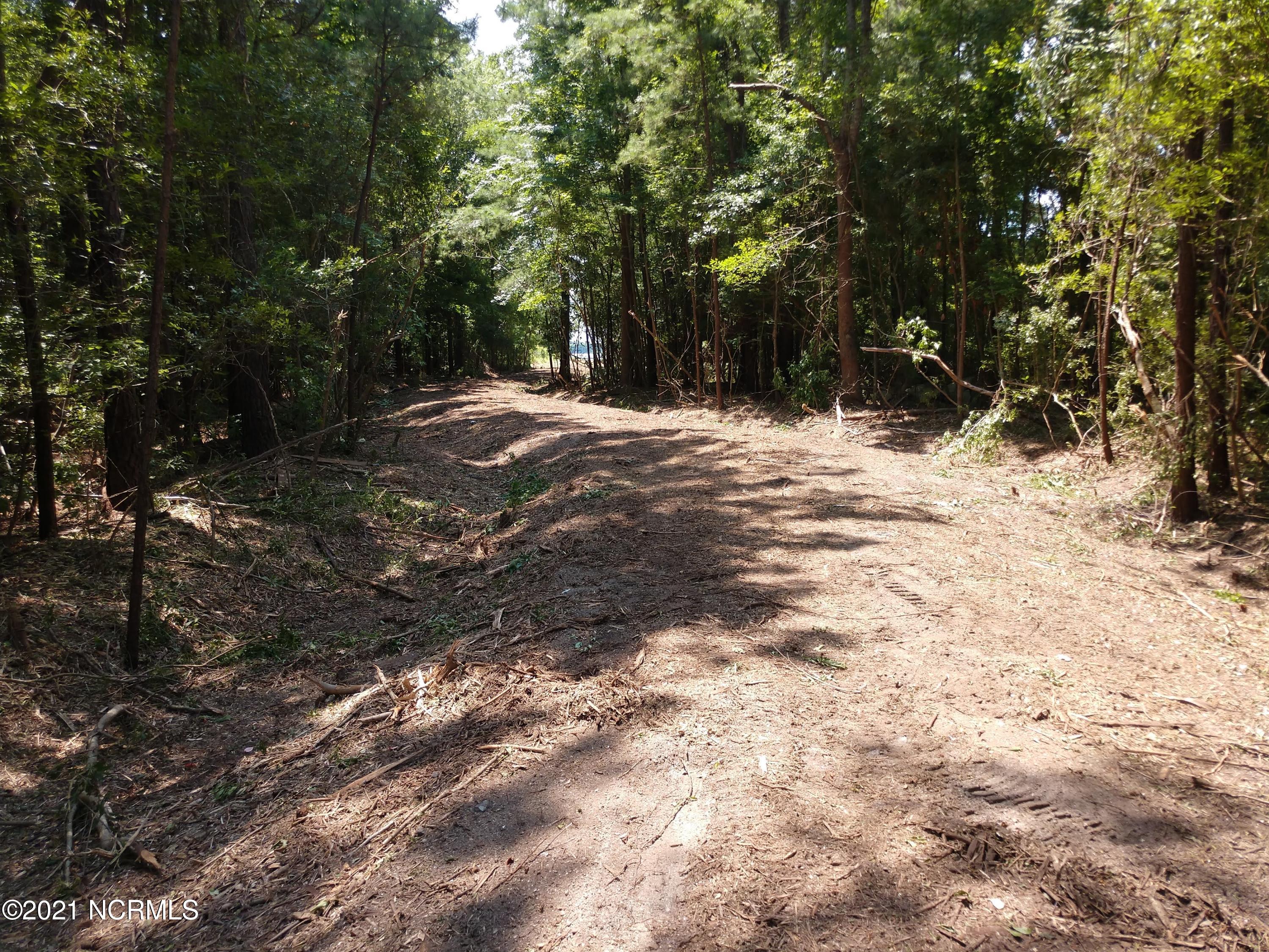 Lot 11 Hickory Point Road Aurora, NC 27806 - Photo 4 of 11 IMG_20210707_122212727