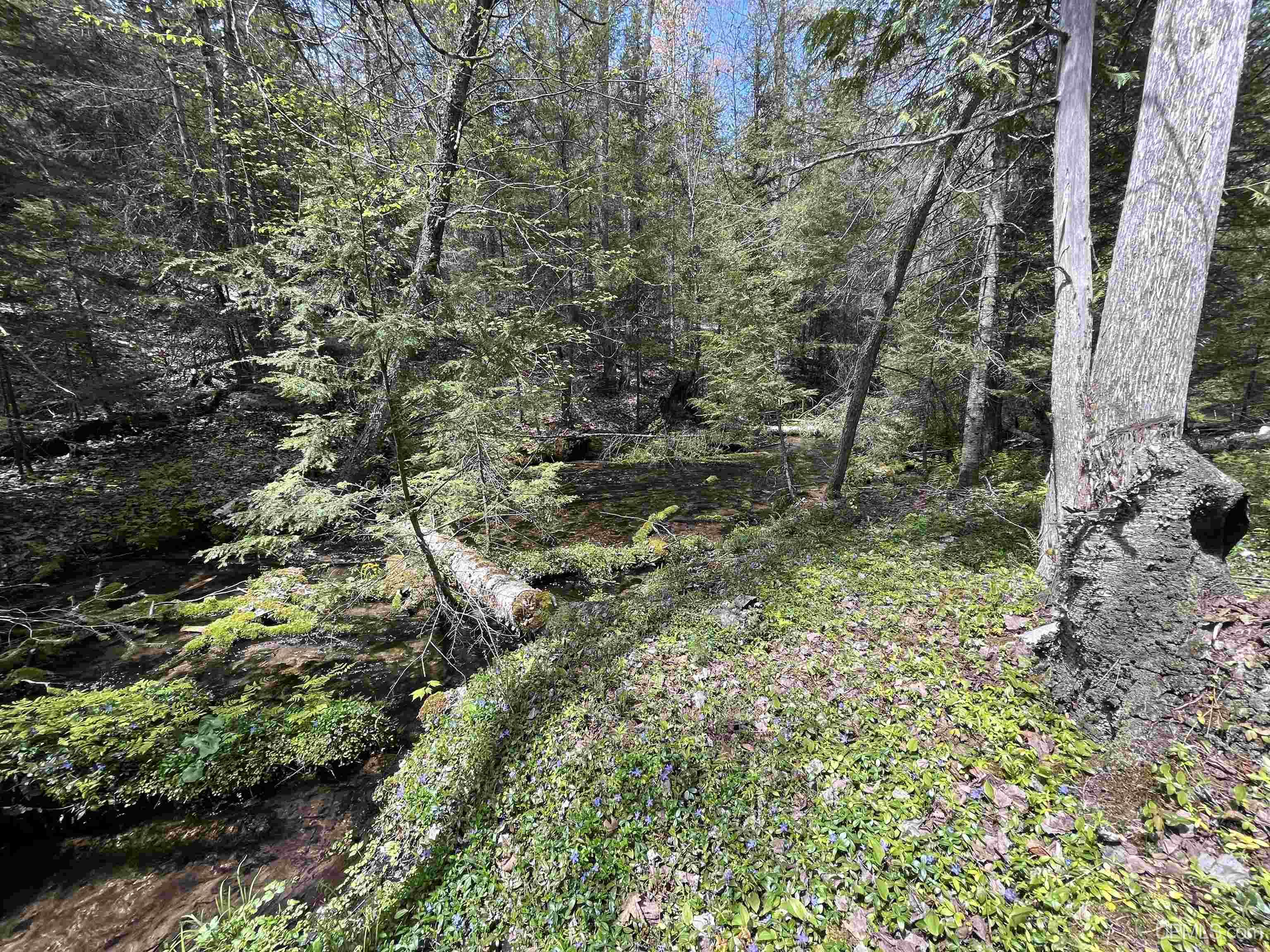 38-acres County Rd NA Road Marquette, MI 49855 - Photo 43 of 70