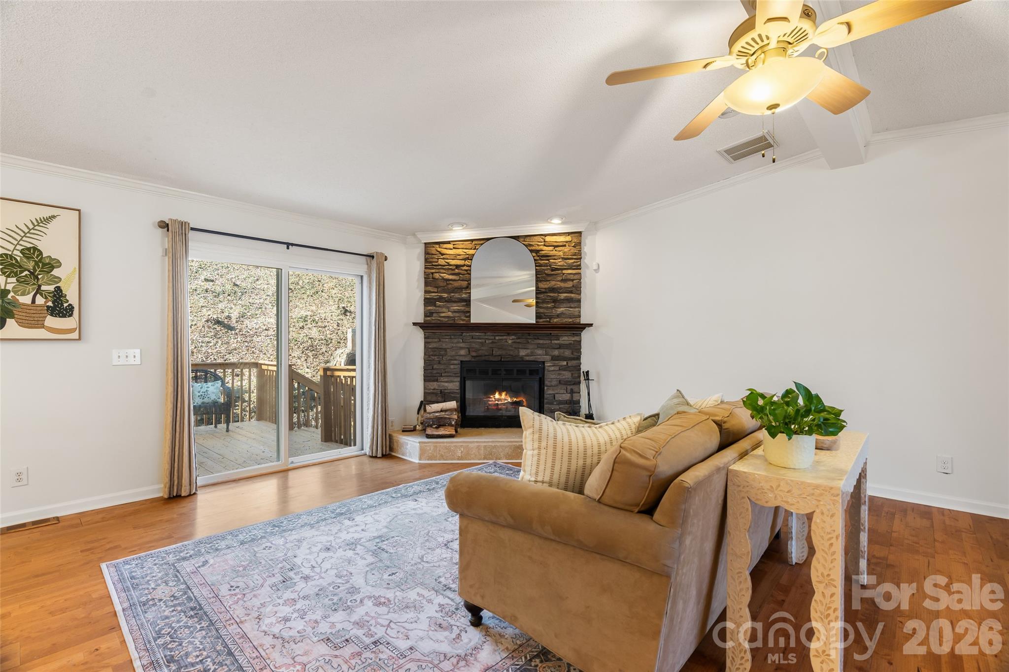 61 Rhododendron Drive Brevard, NC 28712 - Photo 4 of 44