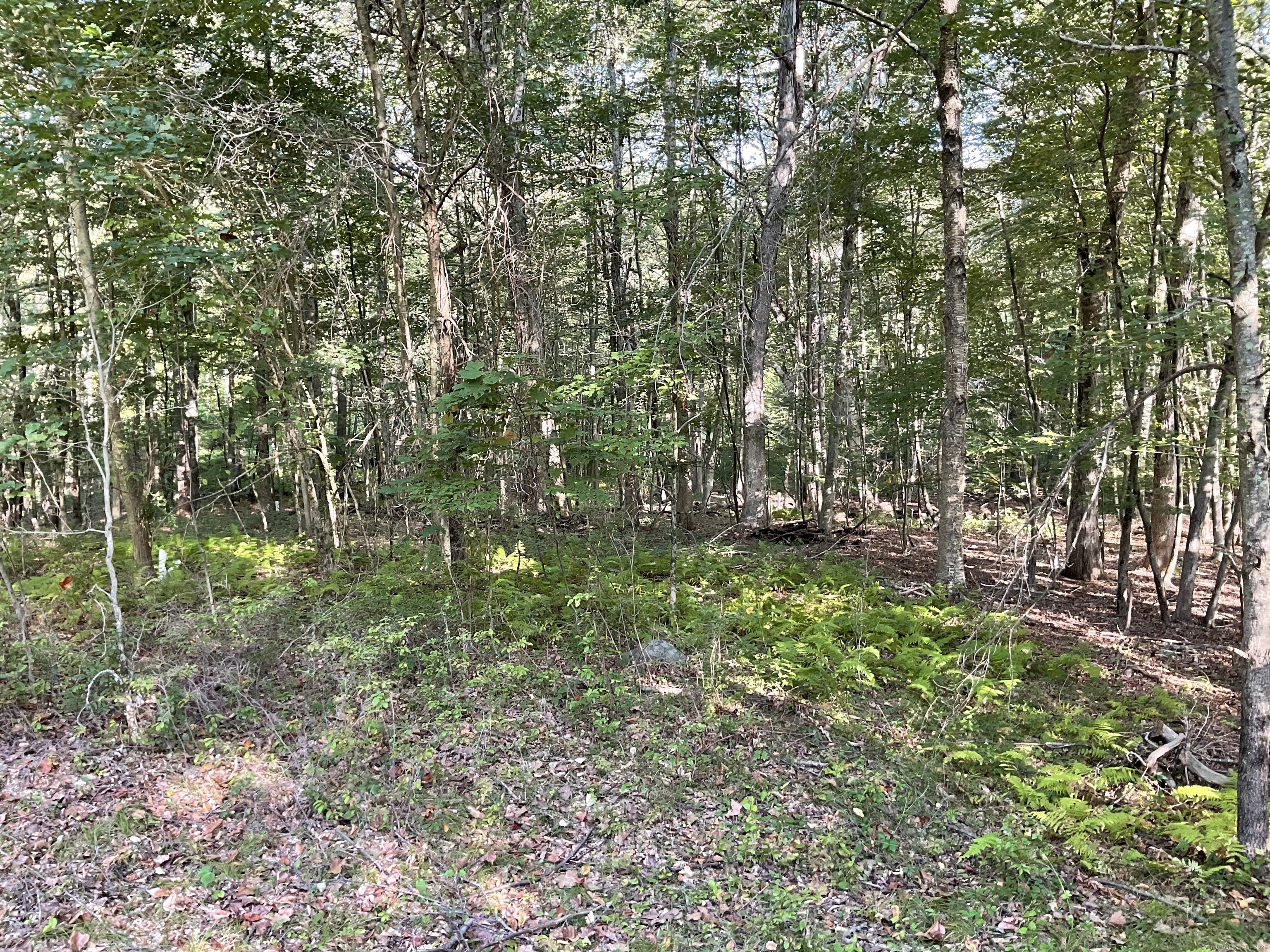 Lot 6 Cattle Pen Lane Ridgefield, CT 06877 - Photo 13 of 13 a view of yard