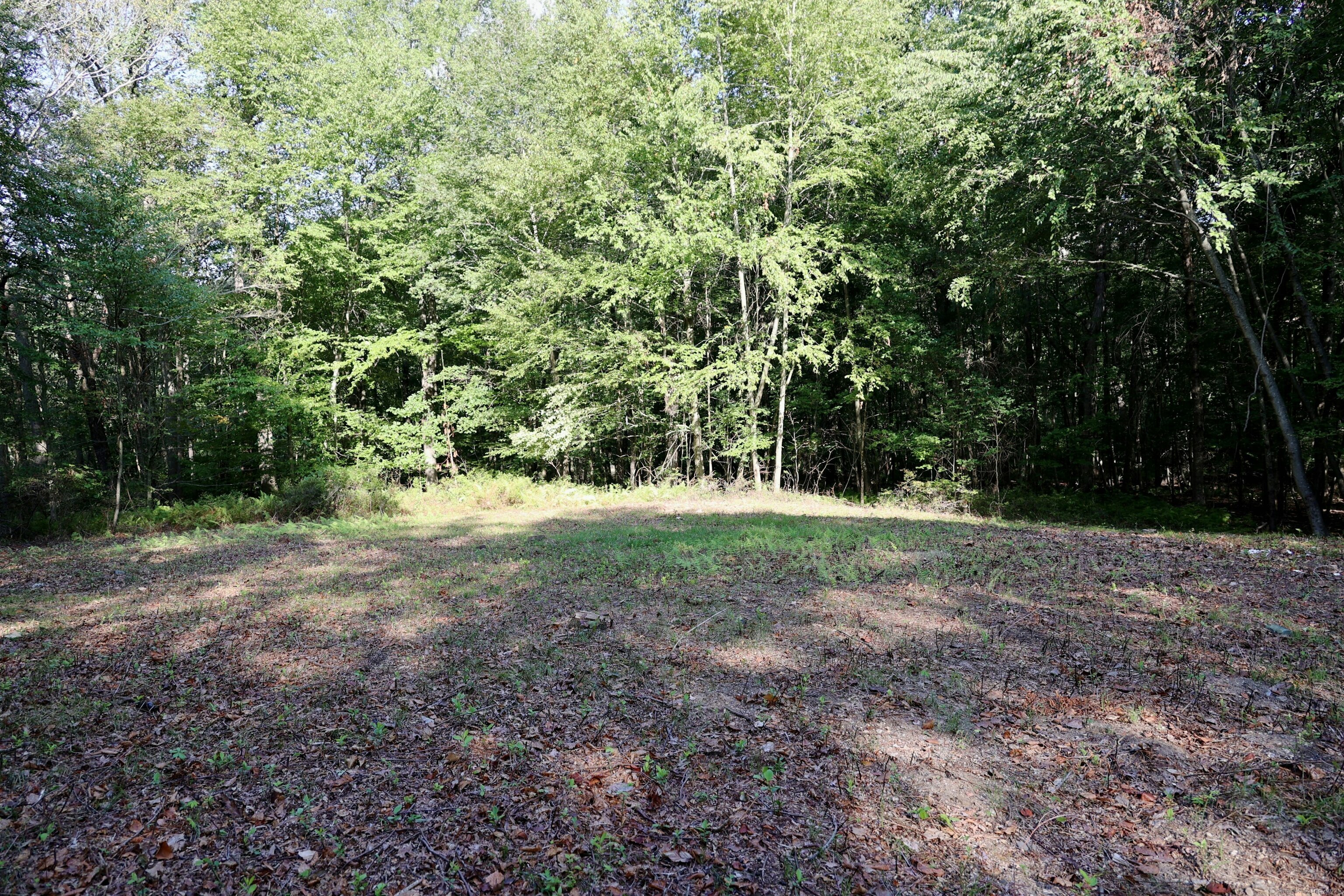 Lot 6 Cattle Pen Lane Ridgefield, CT 06877 - Photo 3 of 13 a view of outdoor space with trees