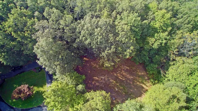 a view of a garden with a house