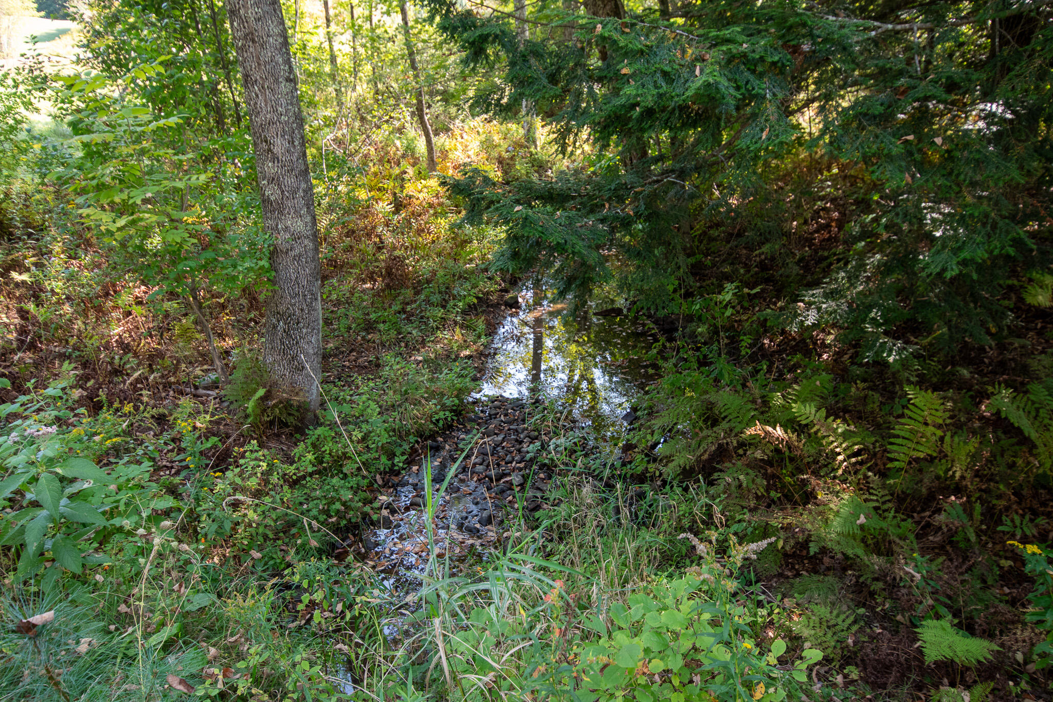 327 East River Road Skowhegan, ME 04976 - Photo 46 of 61 DSC_0846