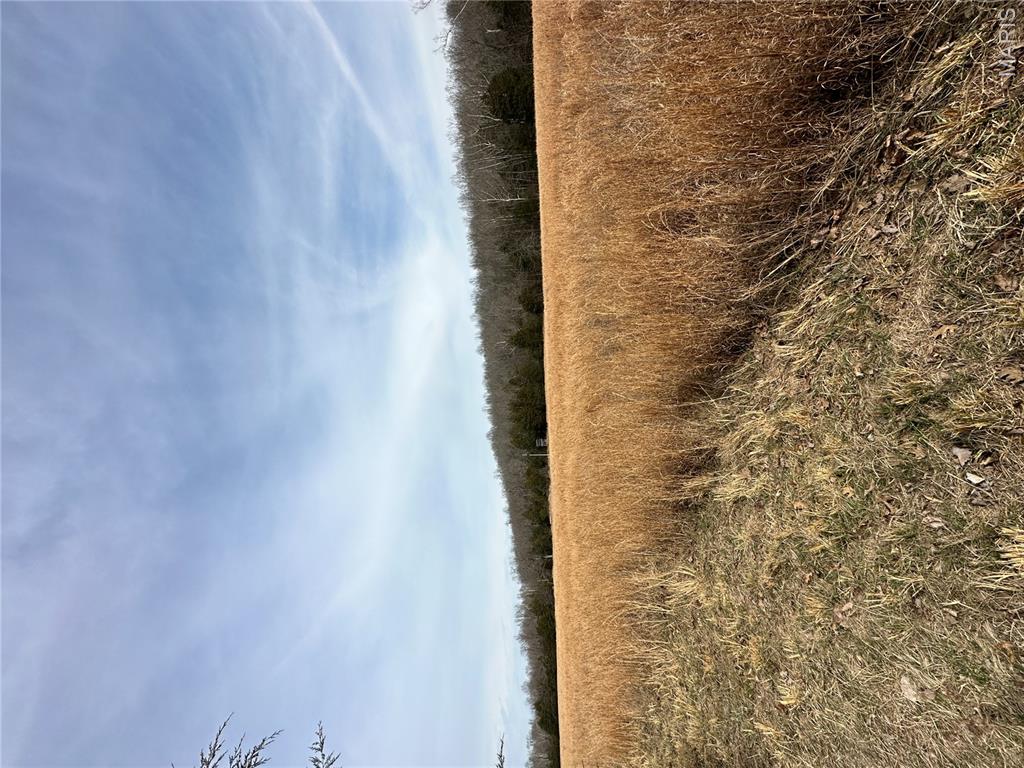 Tbd Upper Janes Creek Road Ravenden, AR 72459 - Photo 66 of 73 Gallery Image 66