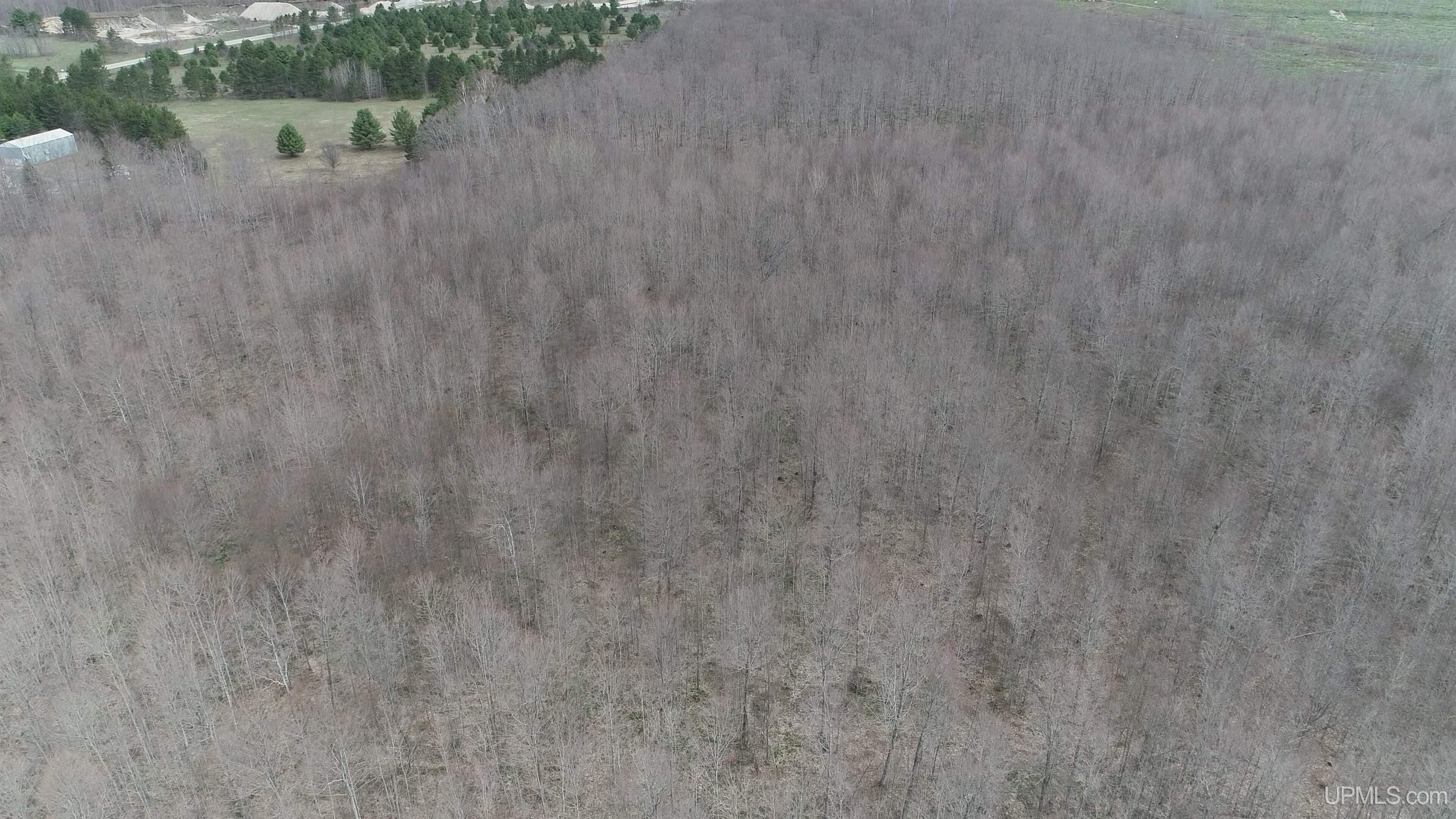 Parcel B County 433 Road Gulliver, MI 49840 - Photo 7 of 14