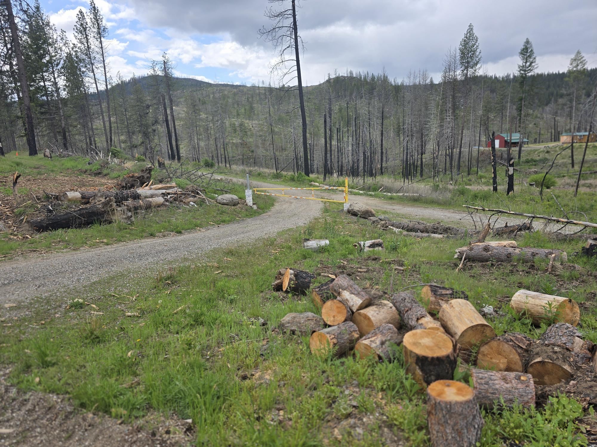 5067 Rail Canyon Road, Unit A Springdale, WA 99173 - Photo 35 of 48