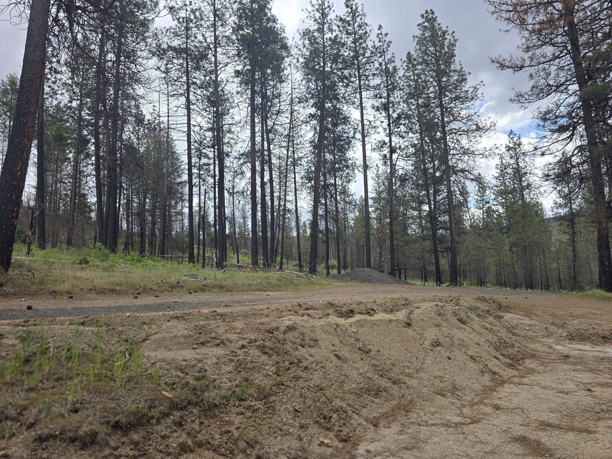 5067 Rail Canyon Road, Unit A Springdale, WA 99173 - Photo 39 of 48