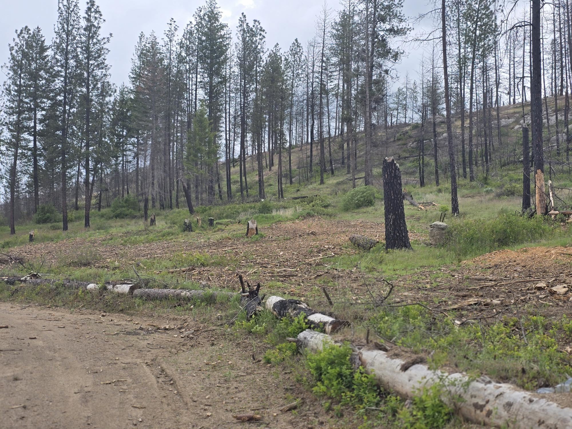 5067 Rail Canyon Road, Unit A Springdale, WA 99173 - Photo 45 of 48