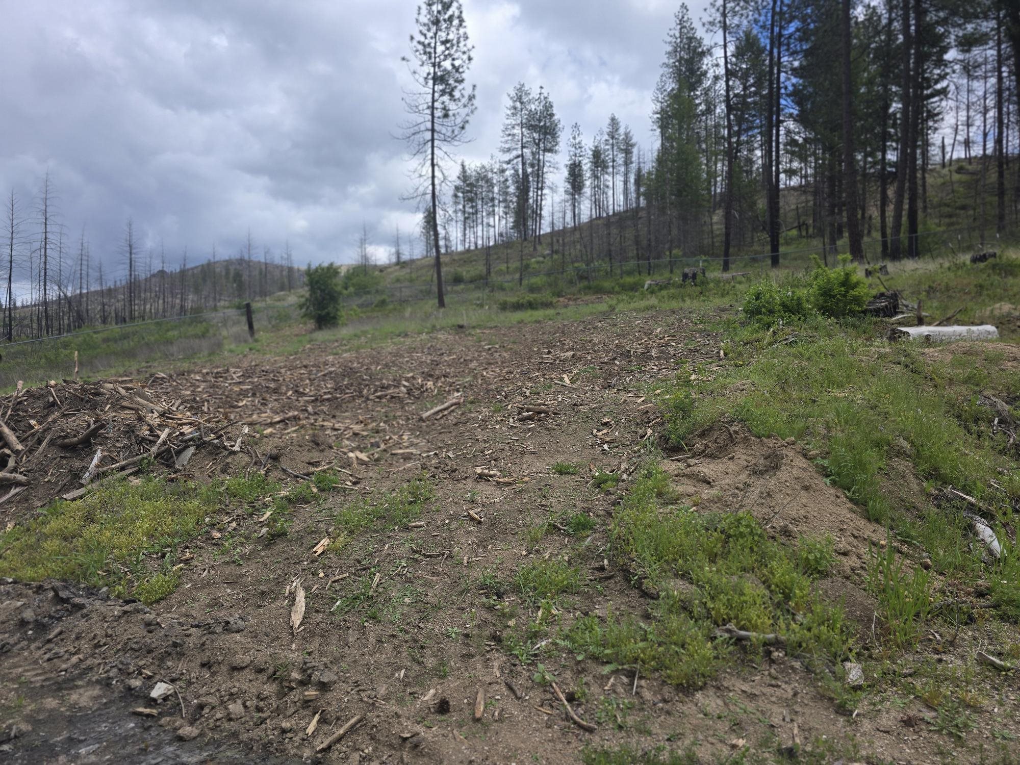 5067 Rail Canyon Road, Unit A Springdale, WA 99173 - Photo 47 of 48