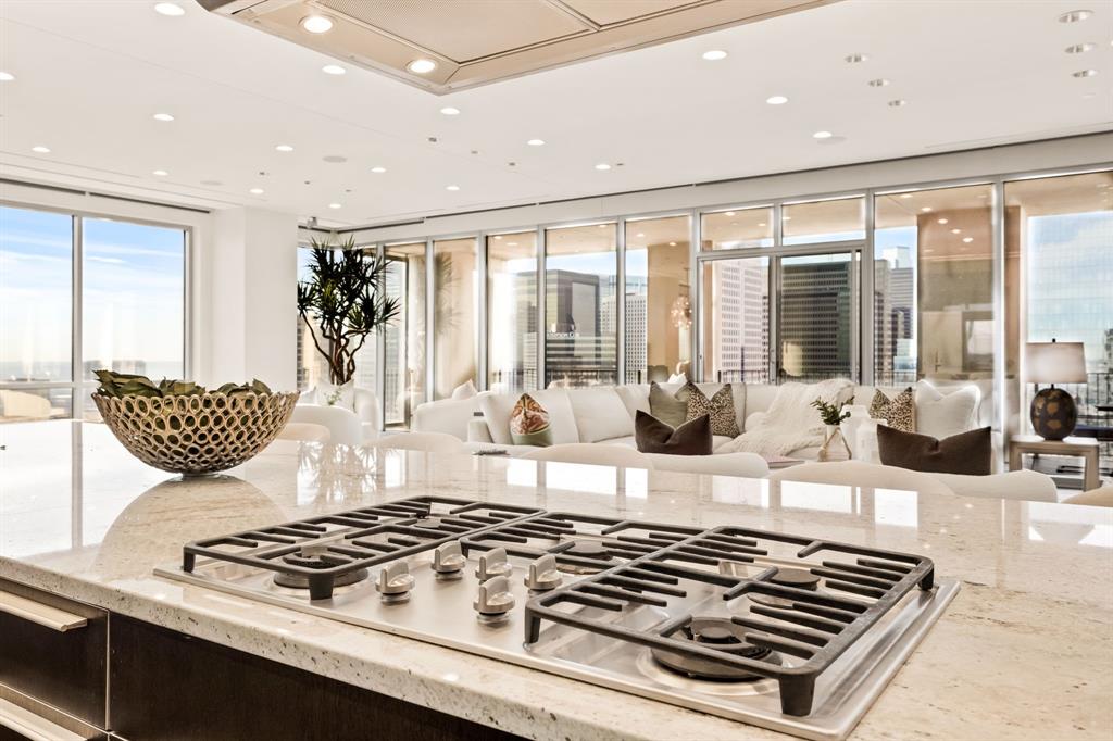 1717 Arts Plaza, Unit 2002 Dallas, TX 75201 - Photo 19 of 36