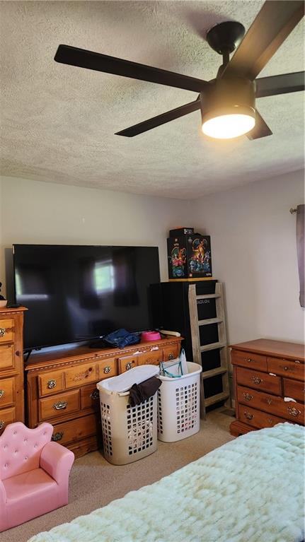 3033 Oneida Valley Road Hilliards, PA 16040 - Photo 29 of 39