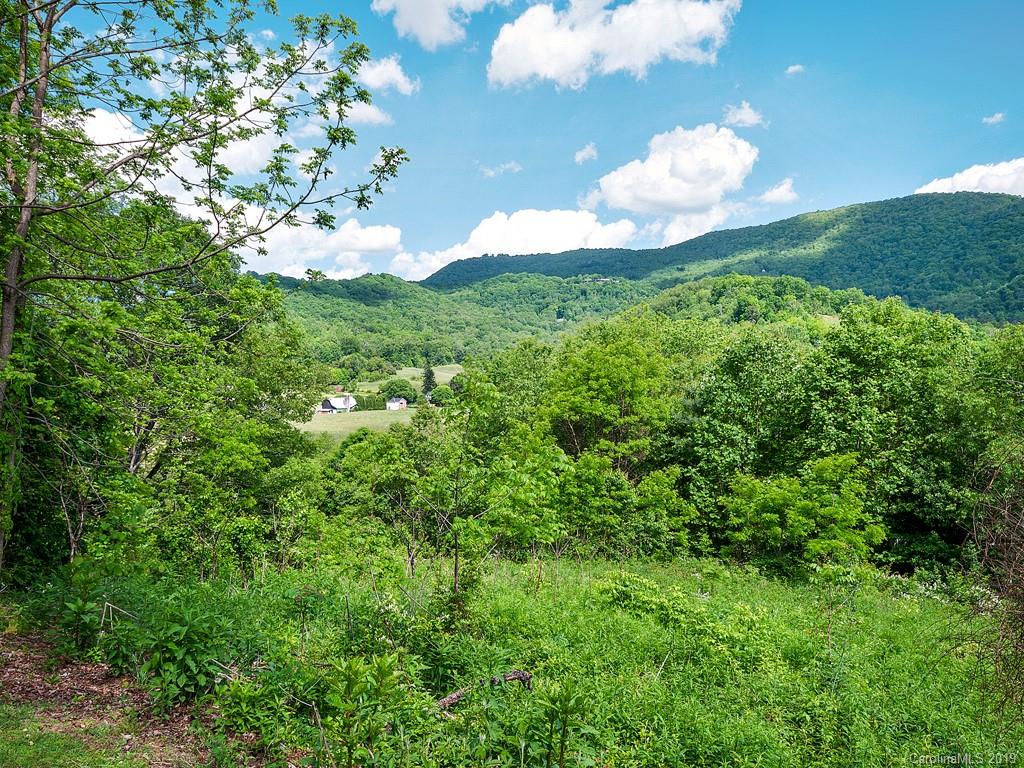 548 Chambers Road Waynesville, NC 28786 - Photo 3 of 19