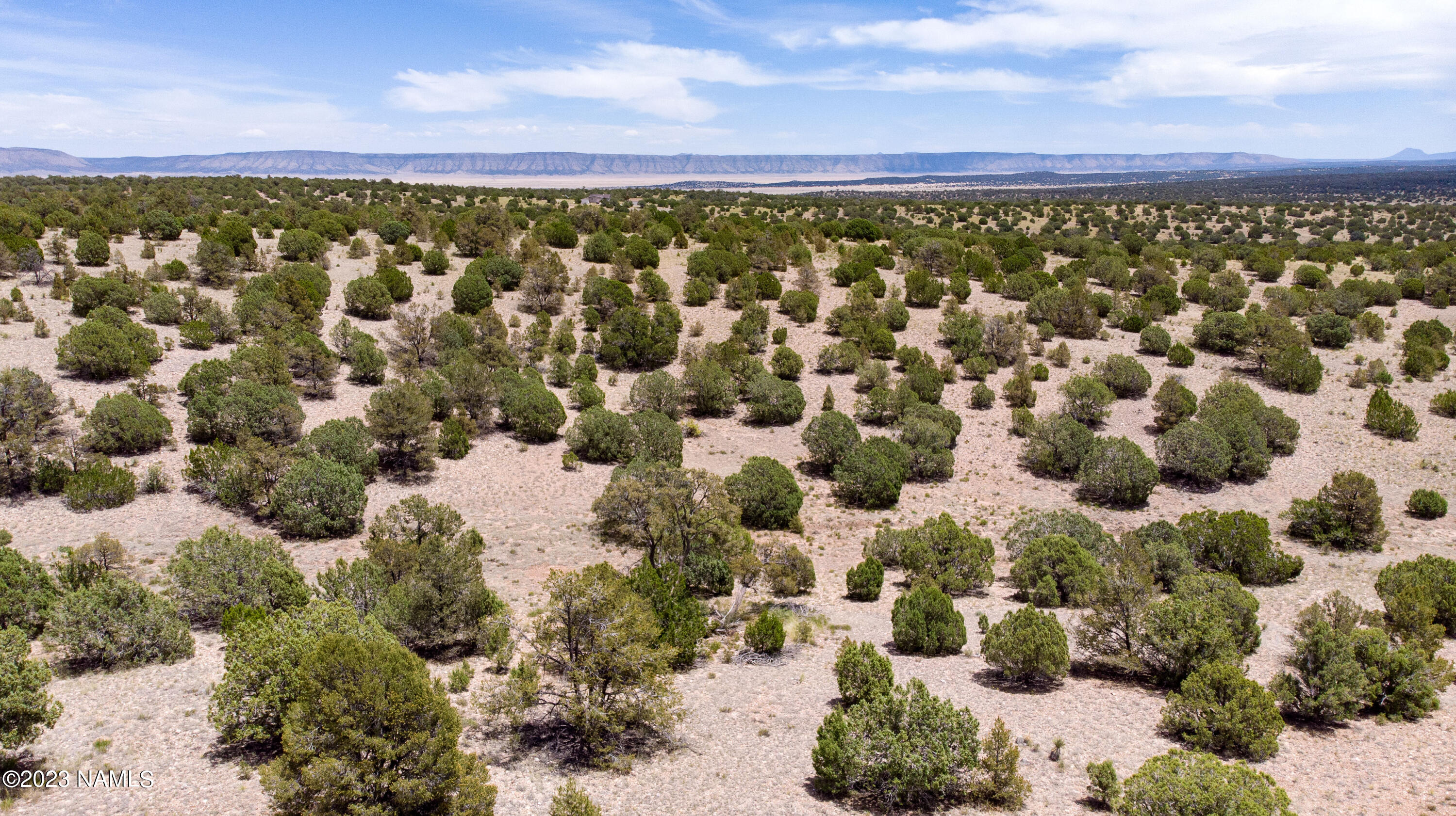 A Amber Ridge Road Seligman, AZ 86337 - Photo 8 of 17 DJI_0068