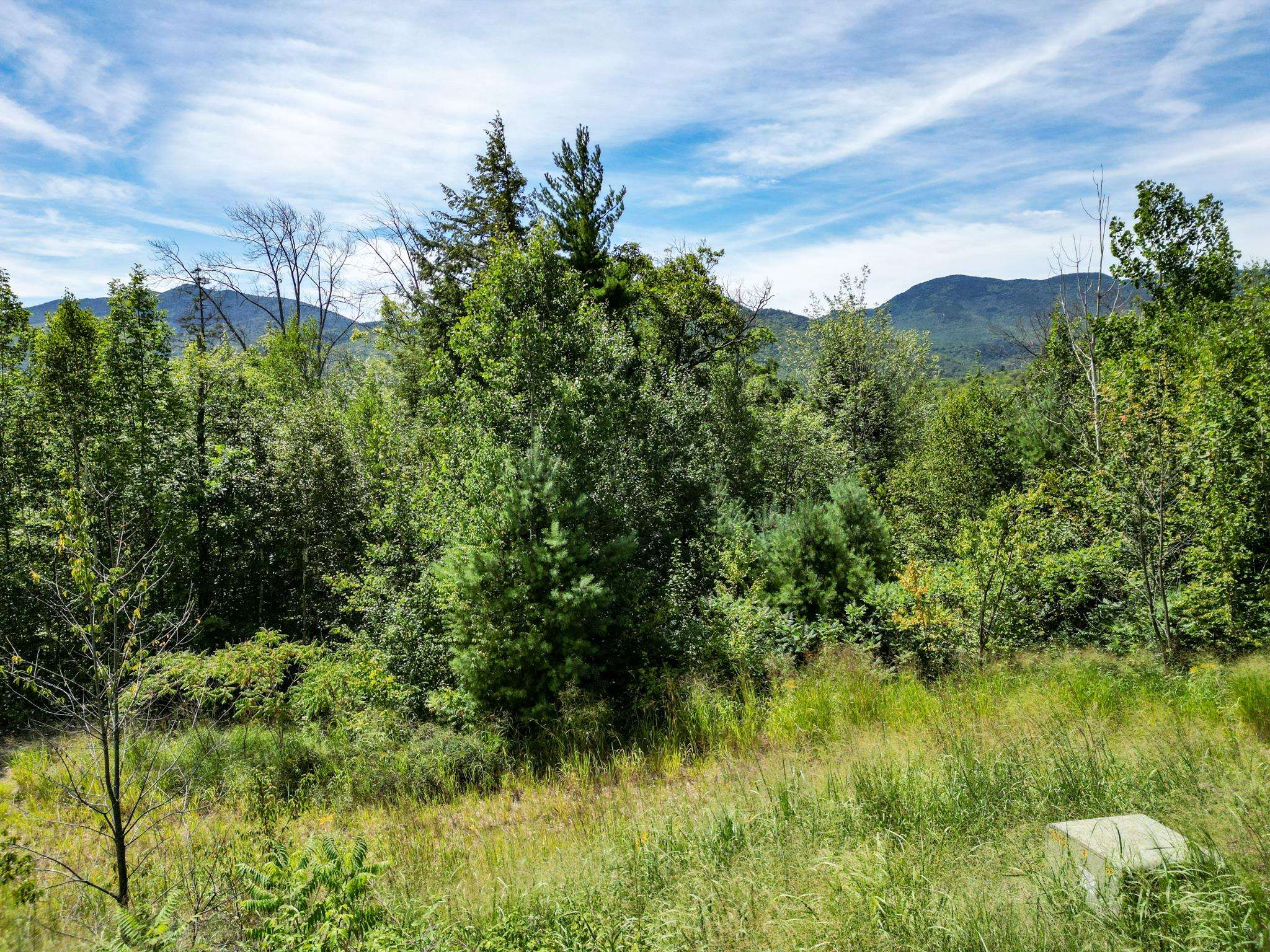 125 Parker Ridge Road, Unit A47 Bartlett, NH 03812 - Photo 10 of 11