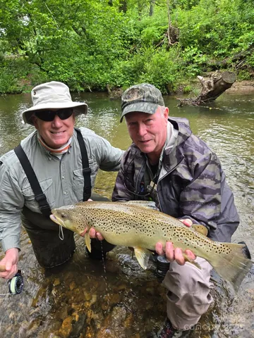 $449,675 | 0 Mountain River Place, Zirconia, NC 28790