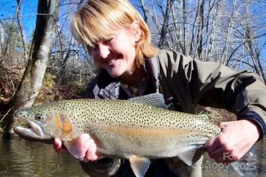 $449,675 | 0 Mountain River Place, Zirconia, NC 28790