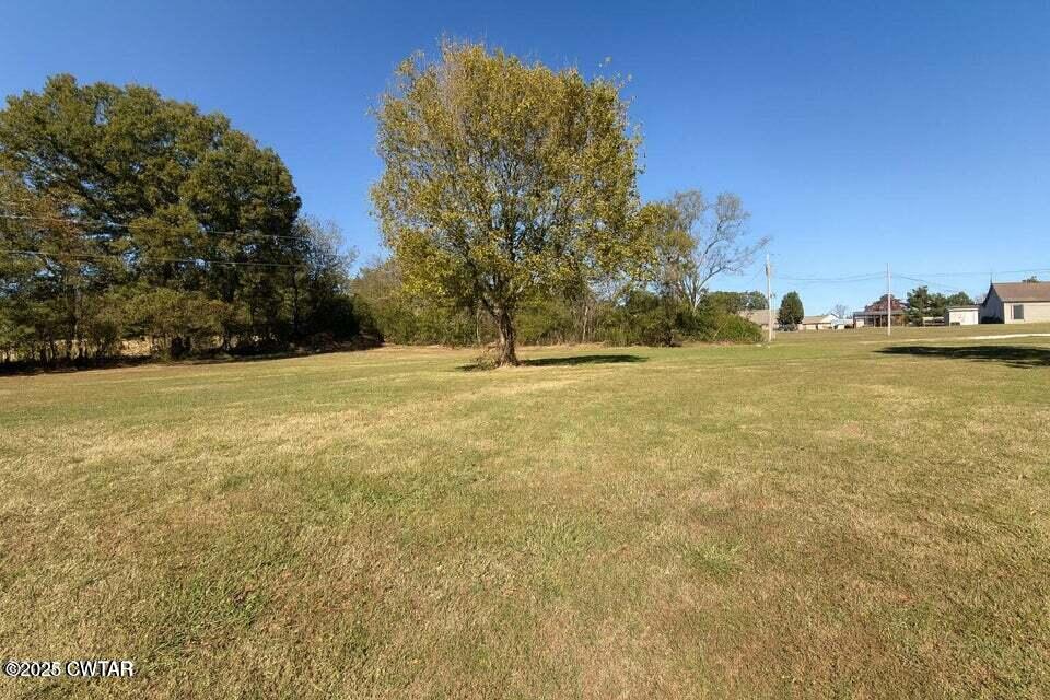 256 Boyd Road Stanton, TN 38069 - Photo 4 of 12 20251022211433681397000000-o