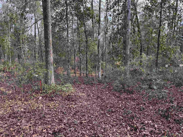 $175,000 | Jomaureen Way, Tallahassee, FL 32309