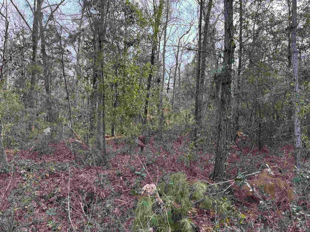 $175,000 | Jomaureen Way, Tallahassee, FL 32309