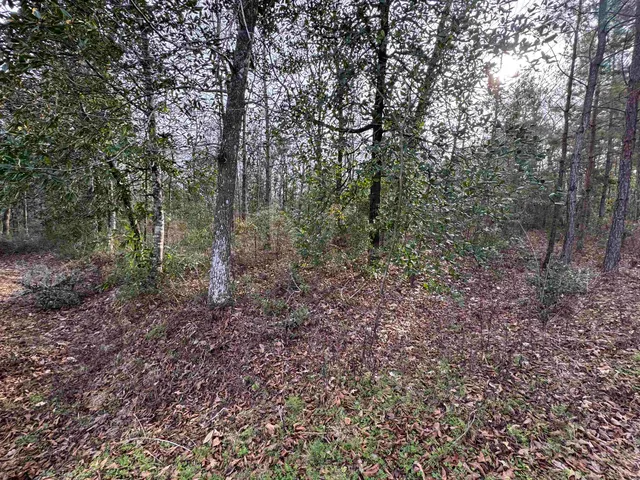 $175,000 | Jomaureen Way, Tallahassee, FL 32309