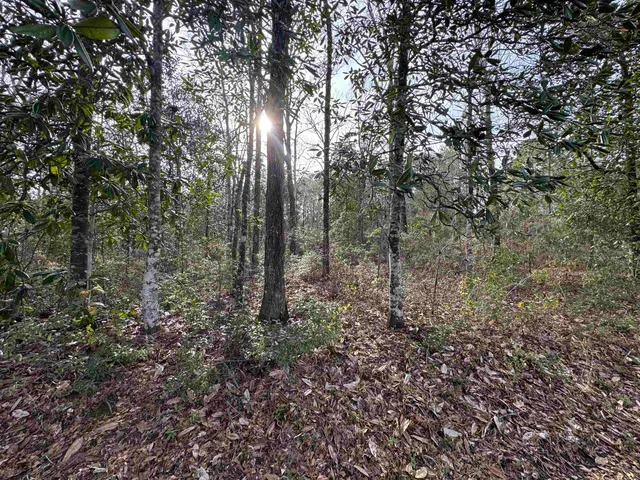 $175,000 | Jomaureen Way, Tallahassee, FL 32309