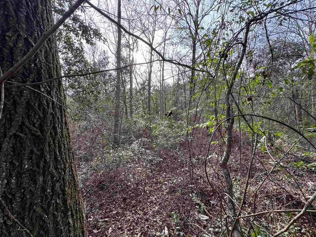 $175,000 | Jomaureen Way, Tallahassee, FL 32309