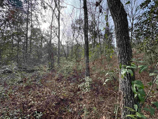 $175,000 | Jomaureen Way, Tallahassee, FL 32309