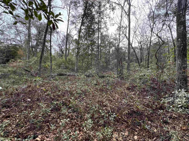 $175,000 | Jomaureen Way, Tallahassee, FL 32309