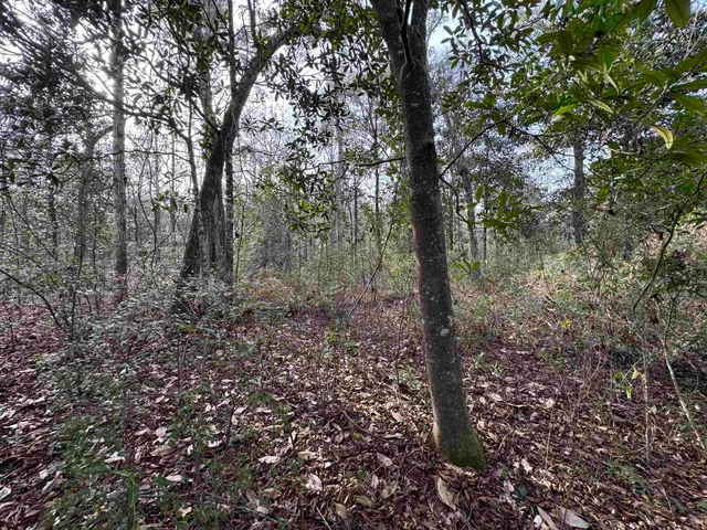 $175,000 | Jomaureen Way, Tallahassee, FL 32309