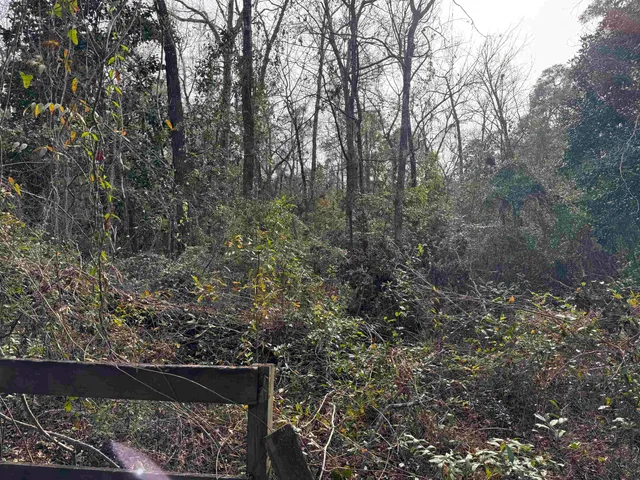 $175,000 | Jomaureen Way, Tallahassee, FL 32309