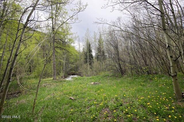 3031 Booth Falls Road Vail, CO 81657 - Photo 5 of 14 a view of outdoor space and a yard