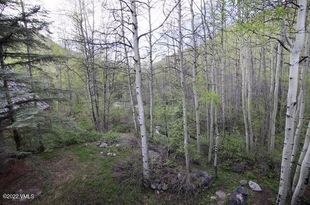 3031 Booth Falls Road Vail, CO 81657 - Photo 6 of 14 a view of a forest that has a tree