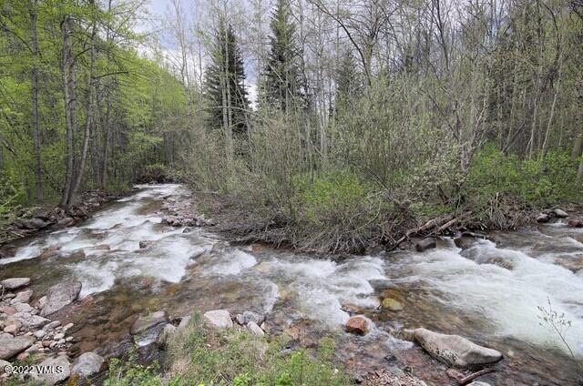 3031 Booth Falls Road Vail, CO 81657 - Photo 7 of 14 a view of a forest with trees in the background