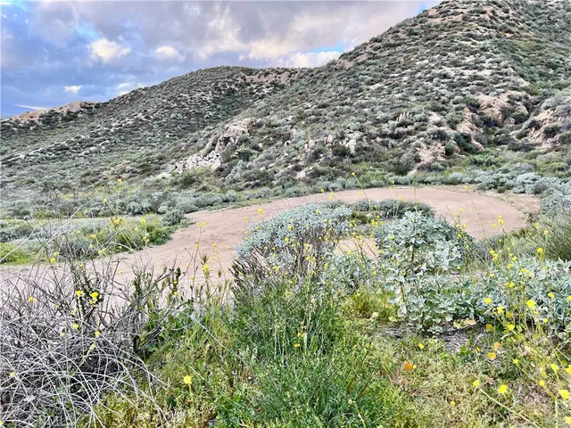 a view of a pathway with a field