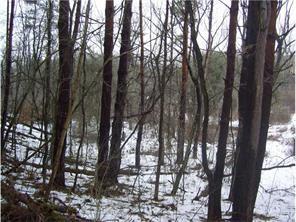 0 Markle Road Apollo, PA 15613 - Photo 22 of 23 Gallery Image 22