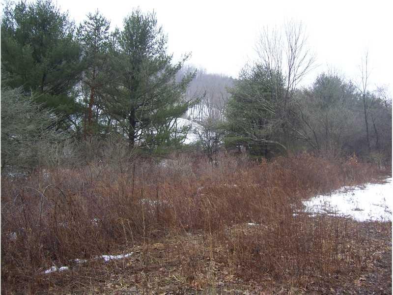 0 Markle Road Apollo, PA 15613 - Photo 4 of 23 Gallery Image 4