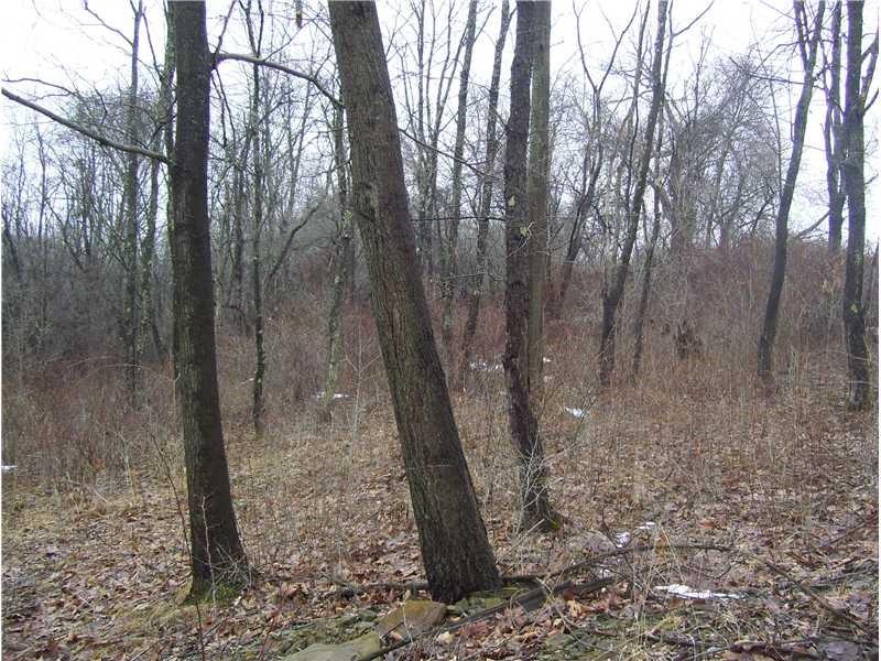 0 Markle Road Apollo, PA 15613 - Photo 7 of 23 Gallery Image 7