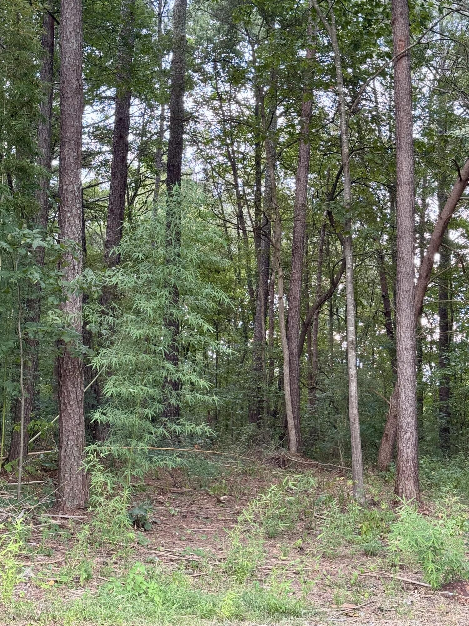 147 Green Shadow Road Cleveland, TN 37323 - Photo 33 of 46 Gallery Image 33