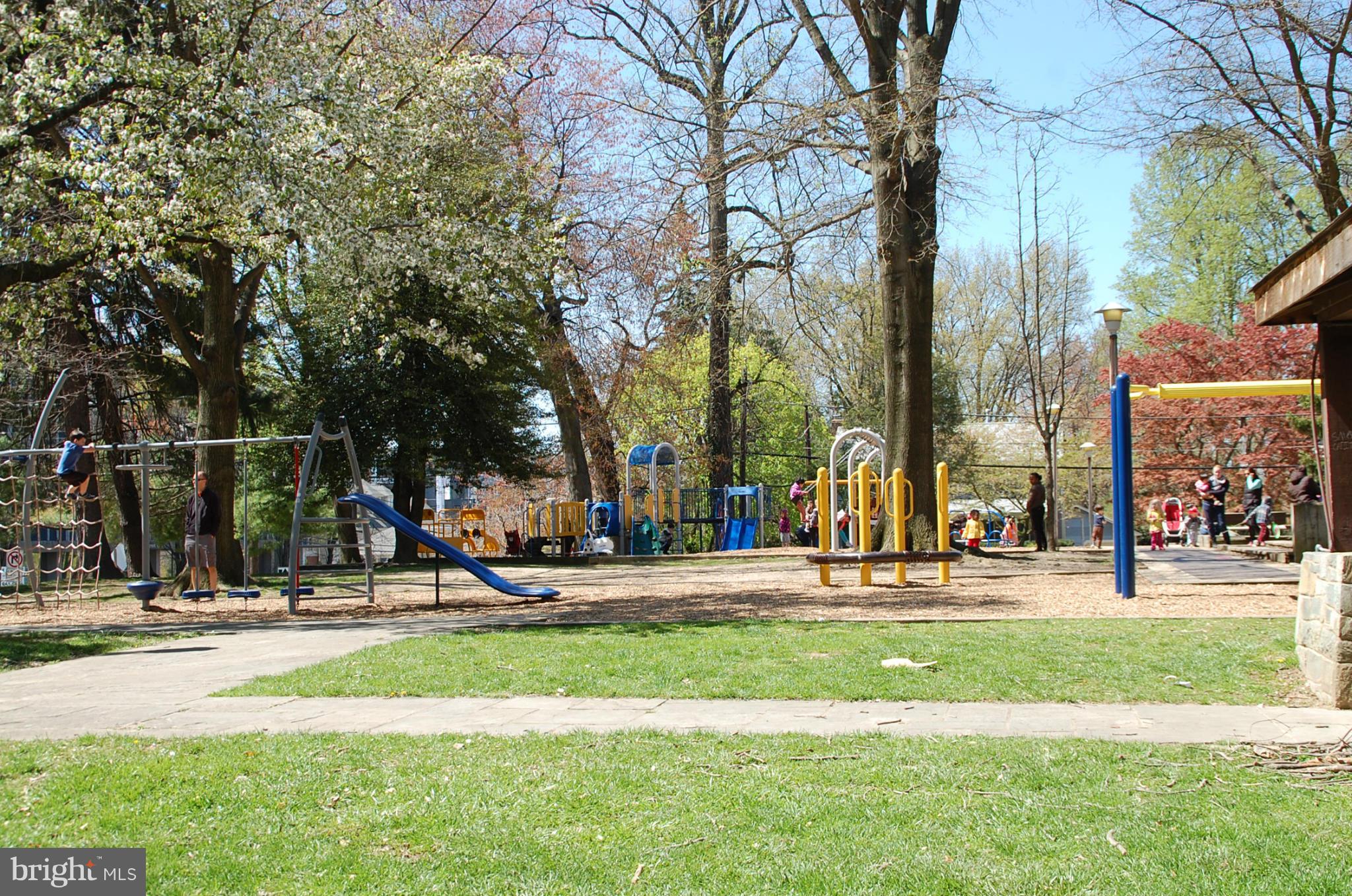 2104 Hanover Street Silver Spring, MD 20910 - Photo 21 of 22 a view of a park with large tree