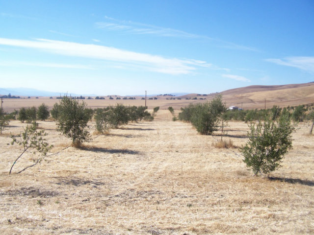 4770 Santa Ana Valley Road Hollister, CA 95023 - Photo 13 of 17 a view of lake view and mountain