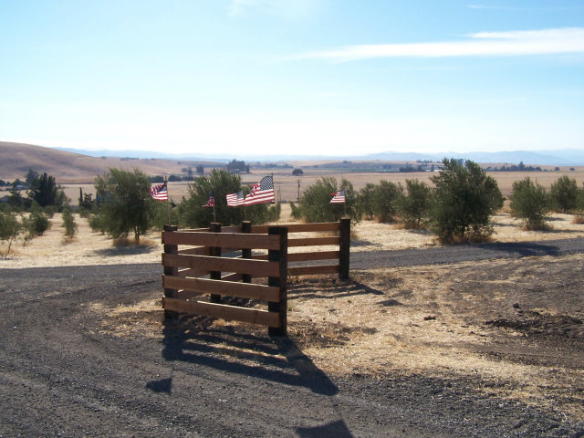 4770 Santa Ana Valley Road Hollister, CA 95023 - Photo 14 of 17 a view of a outdoor space with mountain view