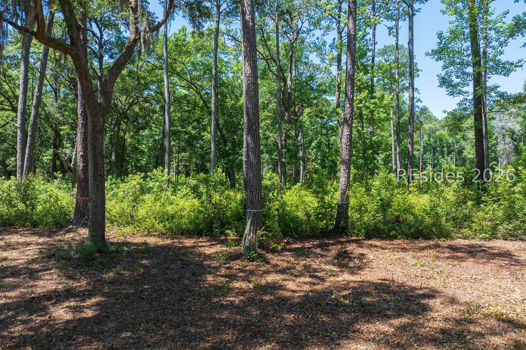77 Lupine Road Bluffton, SC 29910 - Photo 25 of 28