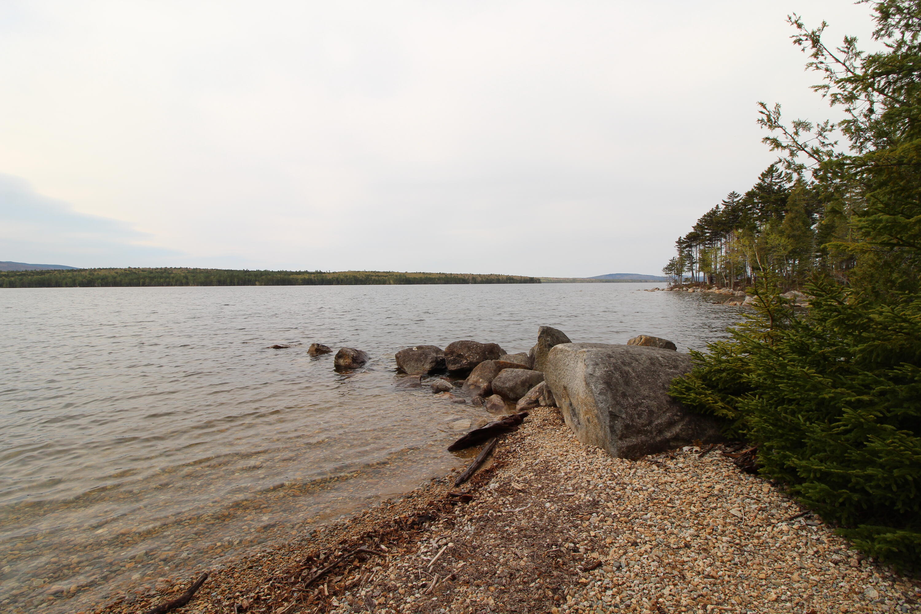 244 Birches Beach Road Oquossoc, ME 04964 - Photo 5 of 52 IMG_4650