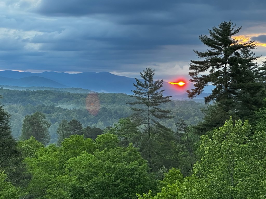 455 Point Overlook Trail Murphy, NC 28906 - Photo 43 of 58