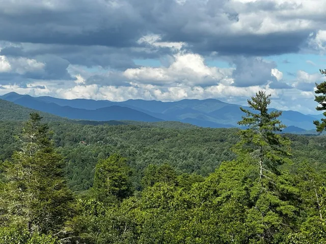 an aerial view of residential house and green space