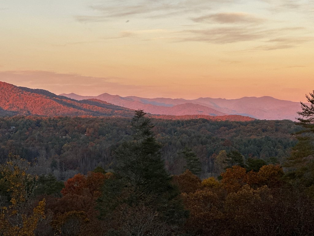 455 Point Overlook Trail Murphy, NC 28906 - Photo 45 of 58
