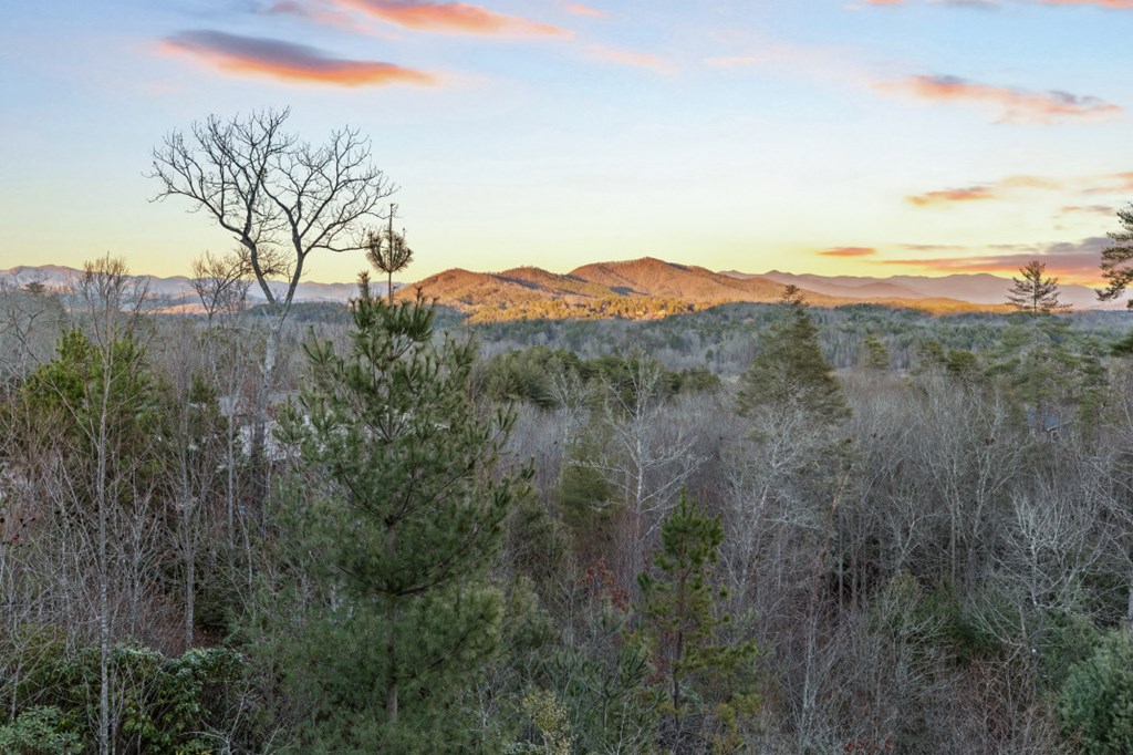 455 Point Overlook Trail Murphy, NC 28906 - Photo 46 of 58