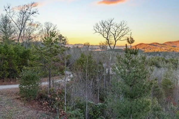 a view of a forest with a mountain and trees