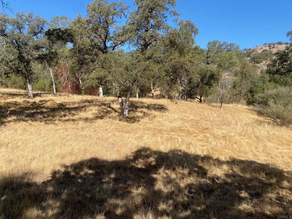 8 Tioga Coarsegold, CA 93614 - Photo 2 of 5 a view of snow on the side of a road