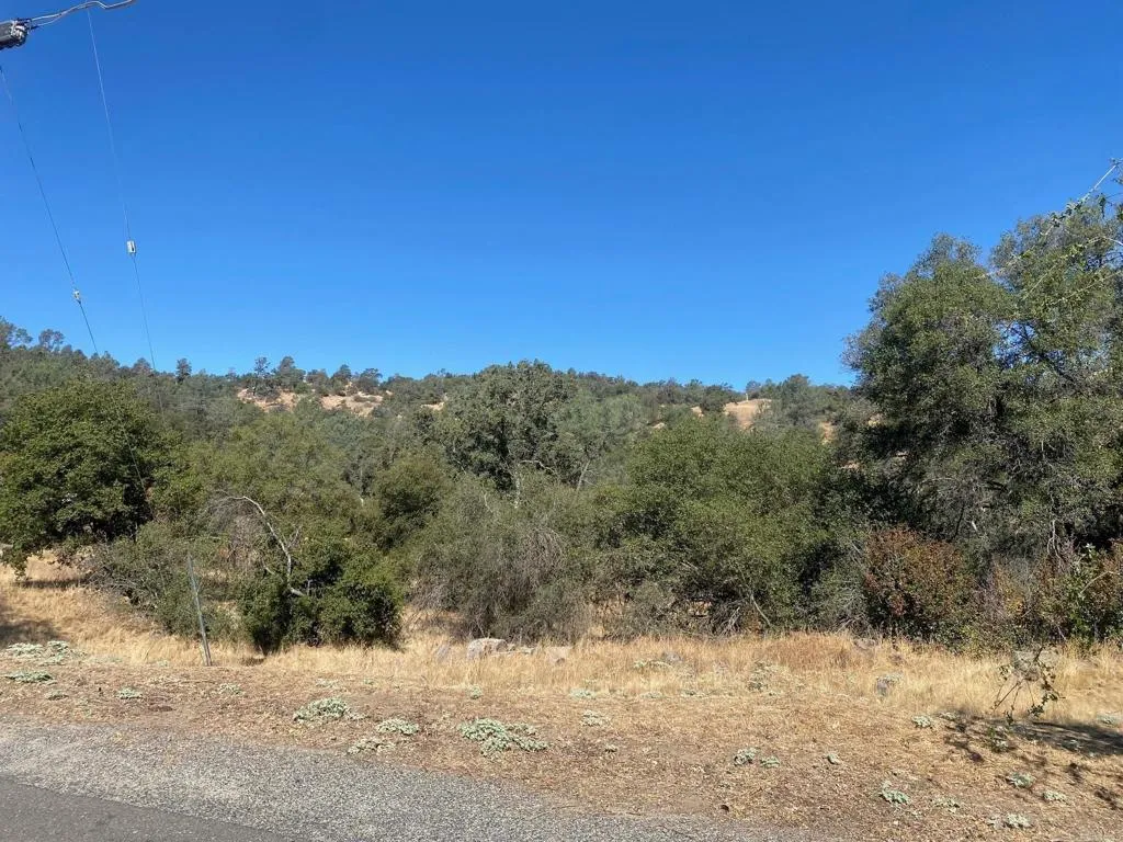 8 Tioga Coarsegold, CA 93614 - Photo 4 of 5 a view of a snow on a field